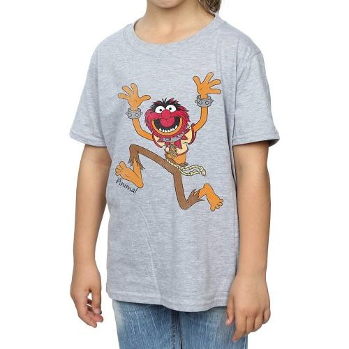 The Muppets Het klassieke dieren-T-shirt voor meisjes van Muppets