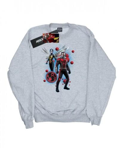 Marvel Boys Ant-Man en de Wasp Particle Pose Sweatshirt