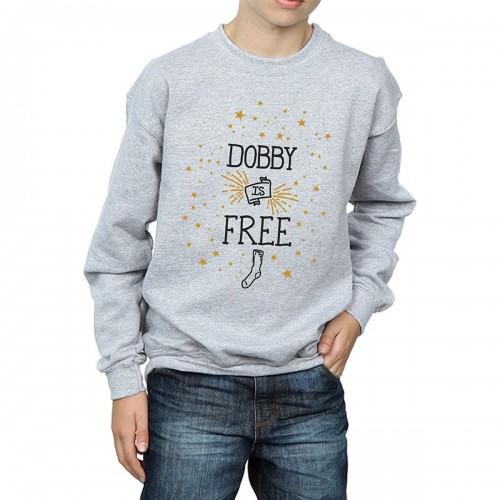 Harry Potter jongens Dobby is gratis trui