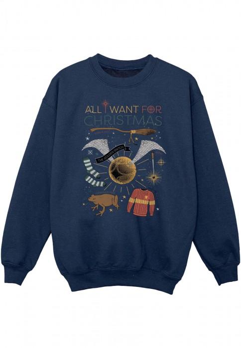 Harry Potter jongens alles wat ik wil voor kerstsweater