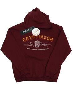 Harry Potter jongens Gryffindor Team Zwerkbal hoodie