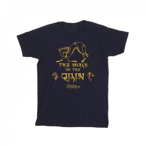 Pertemba FR - Apparel Fantastic Beasts: The Secrets of Dumbledore Girls Magic Hieroglyphs Cotton T-Shirt