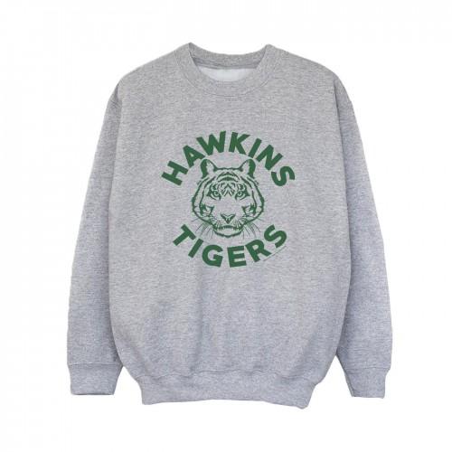 Pertemba FR - Apparel Netflix Boys Stranger Things Hawkins Tigers Sweatshirt