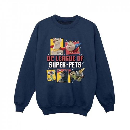 DC Comics Boys DC League Of Super-Pets Profile Sweatshirt