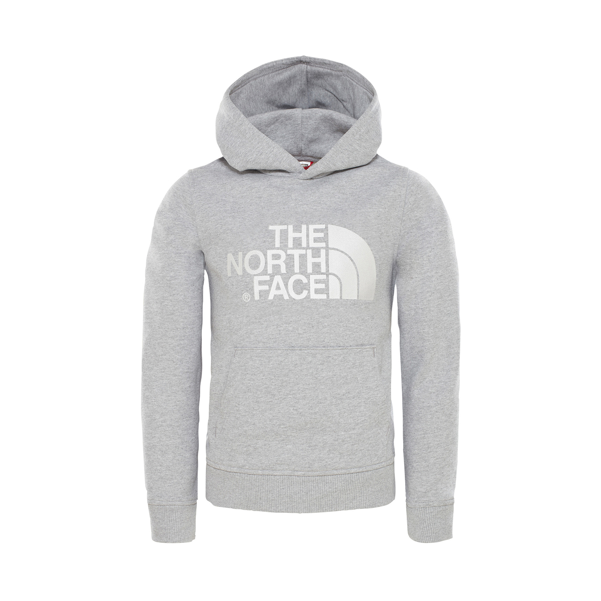 The north face Hoodie