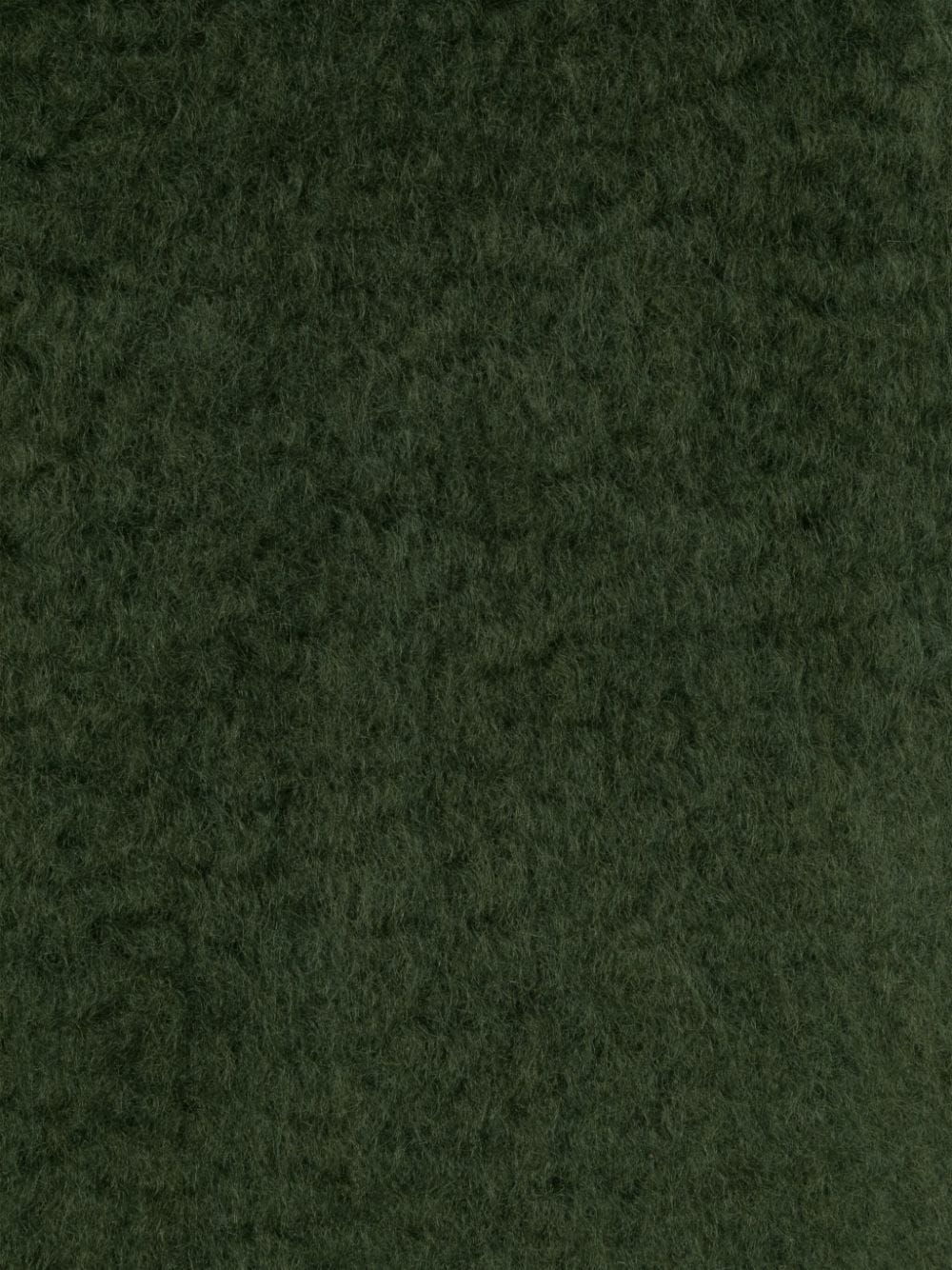 LOEWE fringed mohair scarf - Groen