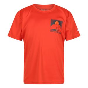 Regatta Kinderen/kinderen alvarado vii sunset t-shirt