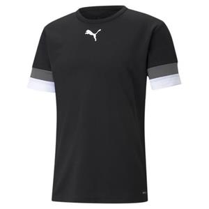 PUMA Trainingstop TEAMRISE JERSEY