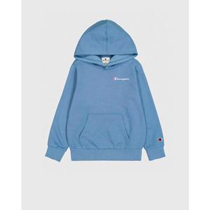 Champion Hoodie HOODED sweatshirt