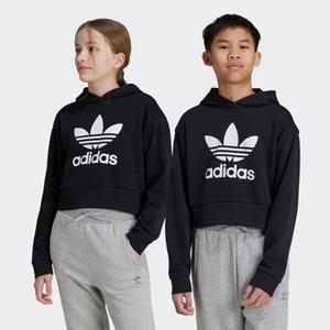 Adidas Originals Hoodie CROPPED HOODIE