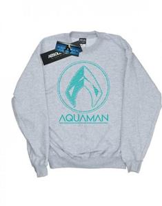 DC Comics jongens Aquaman Aqua-logo sweatshirt