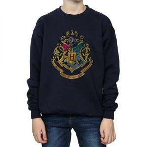 Harry Potter jongens Zweinstein huizen katoenen sweatshirt