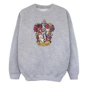 Harry Potter meisjes Griffoendor Sweatshirt