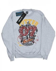 Harry Potter jongens Griffoendor Seeker Sweatshirt