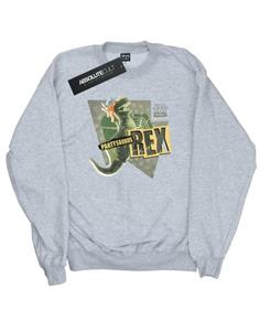 Disney heren Toy Story Partysaurus Rex katoenen sweatshirt