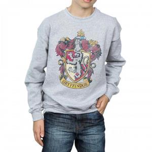 Harry Potter jongens Griffoendor Sweatshirt