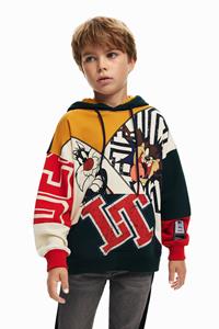 Desigual Looney Tunes hoodie - MATERIAL FINISHES