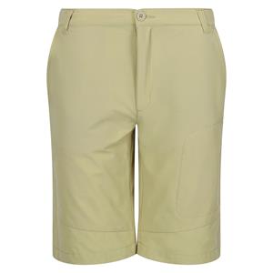 Regatta Heren highton wandelshort