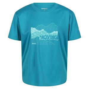 Regatta Kinderen/kinderen alvarado vi berg t-shirt