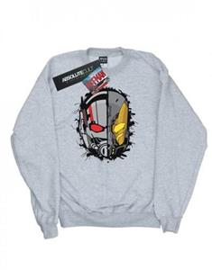 Marvel Boys Ant-Man splithelmsweater