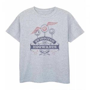 Harry Potter Boys Quidditch T-Shirt