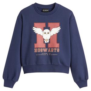 HARRY POTTER Sweater  in molton