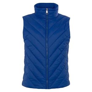 Boss Orange Bodywarmer C_Palassy met een hoge kraag