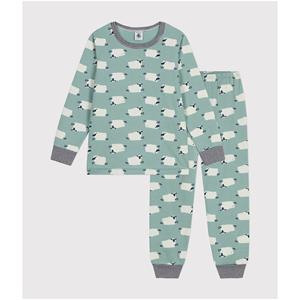 PETIT BATEAU 2-delige pyjama in bedrukt molton