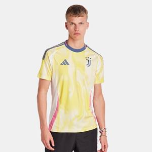 Adidas Juventus Football Club - Heren Jerseys/replicas