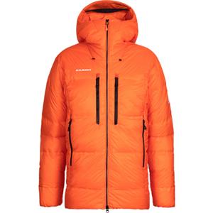 Mammut Heren Eigerjoch Pro In Hooded Jas