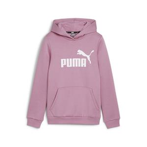 Puma Essentials Logo Hoodie Kids