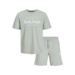 Jack & Jones Junior T-shirt (set, 2-delig)