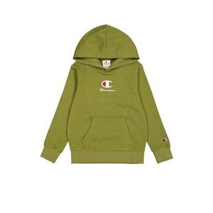 Champion Hoodie HOODED sweatshirt