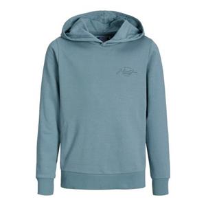 Jack & Jones Junior Hoodie