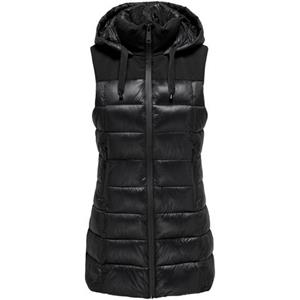 Only Gilet