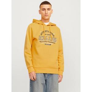 Jack & Jones Hoodie