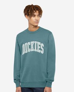 Dickies Sweatshirt dk0a4xabj951