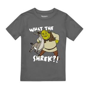 Pertemba FR - Apparel Shrek jongens beste toppen T-shirt