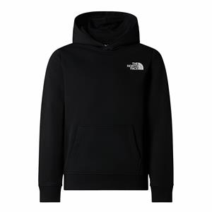 The north face Hoodie in molton