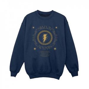 DC Comics Boys Shazam Fury Of The Gods gouden spiraalborstsweater