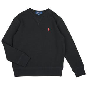 Polo Ralph Lauren Sweater  LS CN-TOPS-KNIT