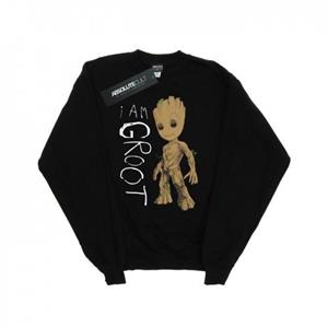 Marvel Girls Guardians of the Galaxy I Am Groot Scribbles Sweatshirt