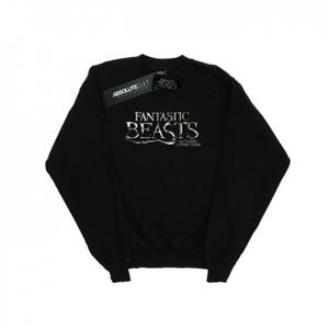 Pertemba FR - Apparel Fantastic Beasts herensweater met tekstlogo