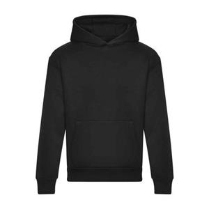 Awdis kenmerkende zwaargewicht hoodie voor heren