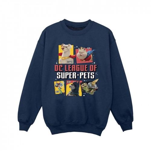 DC Comics meisjes DC League of Super-Pets profielsweater