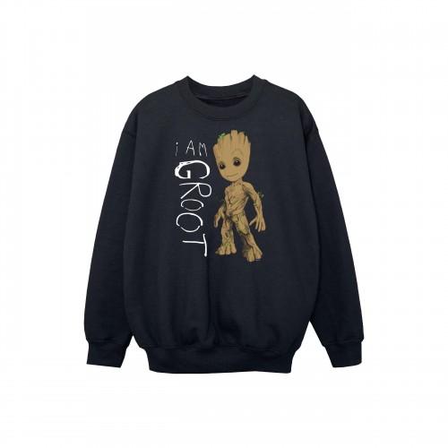 Marvel Boys Guardians of the Galaxy I Am Groot Scribbles Sweatshirt