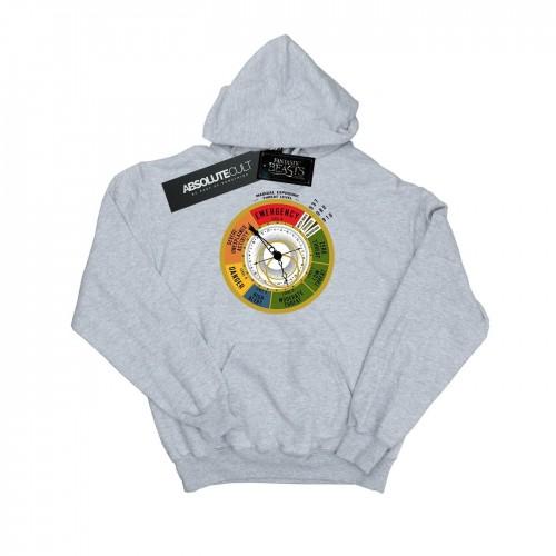 Pertemba FR - Apparel Fantastic Beasts Heren dreigingsniveau hoodie