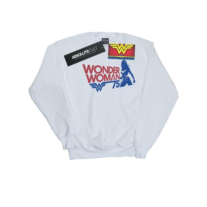 DC Comics Heren Wonder Woman Seventy Five Sweatshirt