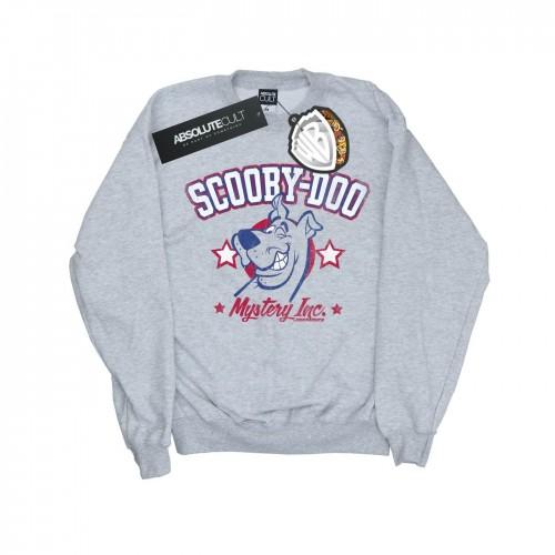 Scooby Doo collegiale Mystery Inc-sweatshirt voor heren