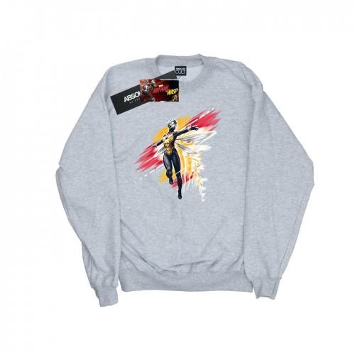 Marvel Ant-Man en de Wasp Hope geborsteld sweatshirt voor heren